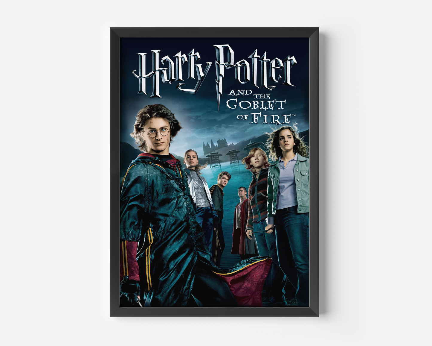 Harry Potter