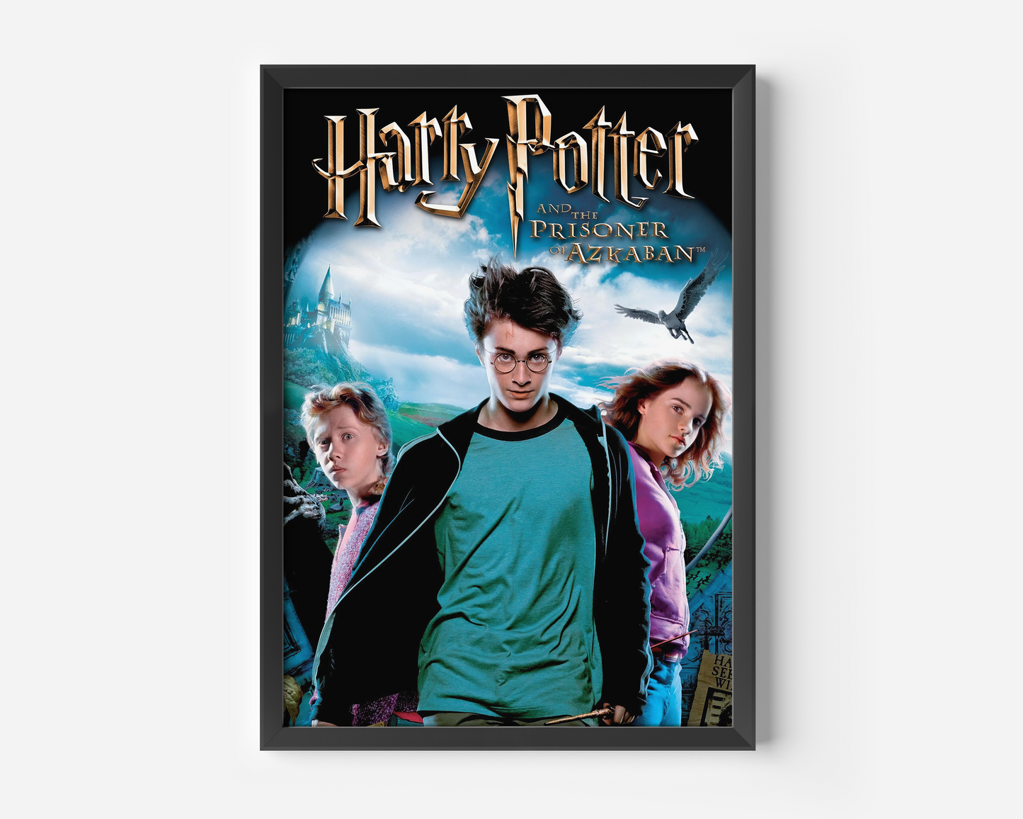 Harry Potter