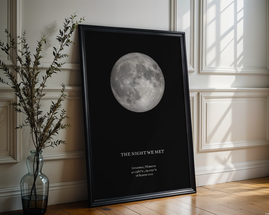 The Night We Met