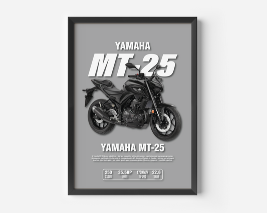 YAMAHA MT-25