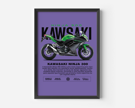 KAWASAKI NINJA 300